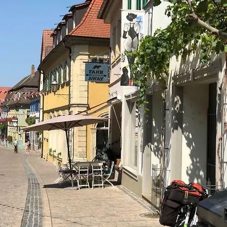 Dr. Carl Friderich Apartament *